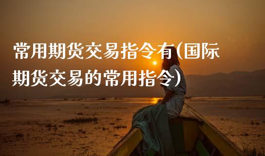 常用期货交易指令有(国际期货交易的常用指令)_https://www.zztgc.com_期货入门_第1张
