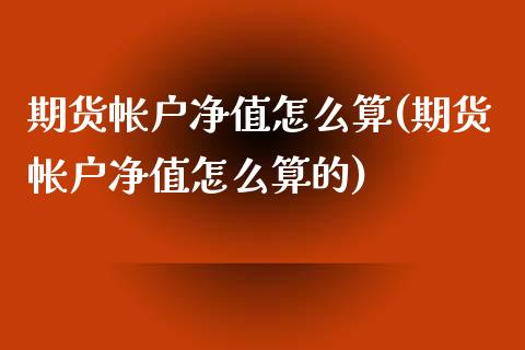 期货帐户净值怎么算(期货帐户净值怎么算的)_https://www.zztgc.com_期货入门_第1张