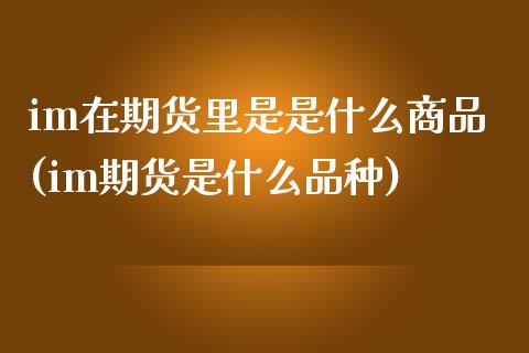 im在期货里是是什么商品(im期货是什么品种)_https://www.zztgc.com_期货入门_第1张