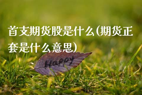 首支期货股是什么(期货正套是什么意思)_https://www.zztgc.com_期货直播_第1张