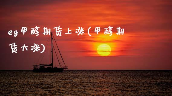 eg甲醇期货上涨(甲醇期货大涨)_https://www.zztgc.com_期货入门_第1张