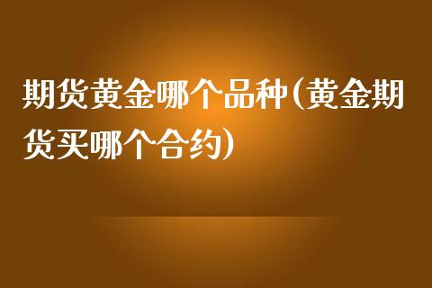 期货黄金哪个品种(黄金期货买哪个合约)_https://www.zztgc.com_期货直播_第1张