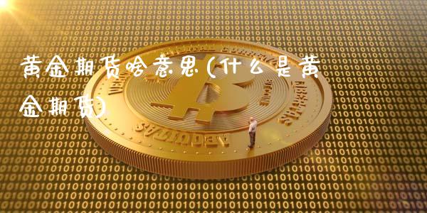 黄金期货啥意思(什么是黄金期货)_https://www.zztgc.com_期货直播_第1张