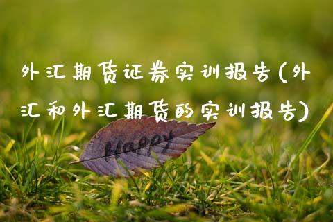 外汇期货证券实训报告(外汇和外汇期货的实训报告)_https://www.zztgc.com_期货直播_第1张