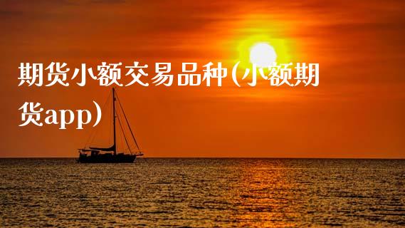 期货小额交易品种(小额期货app)_https://www.zztgc.com_期货行情_第1张
