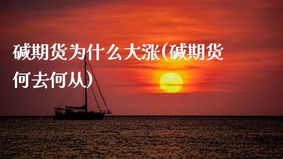 碱期货为什么大涨(碱期货何去何从)_https://www.zztgc.com_原油期货_第1张