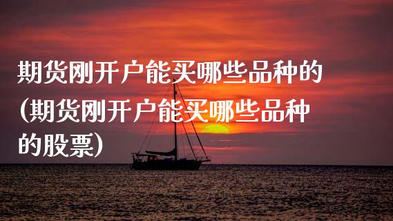 期货刚开户能买哪些品种的(期货刚开户能买哪些品种的股票)_https://www.zztgc.com_原油期货_第1张