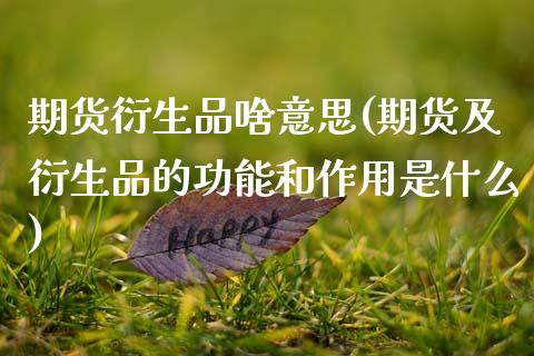 期货衍生品啥意思(期货及衍生品的功能和作用是什么)_https://www.zztgc.com_期货行情_第1张