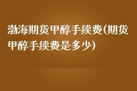 渤海期货甲醇手续费(期货甲醇手续费是多少)_https://www.zztgc.com_期货入门_第1张