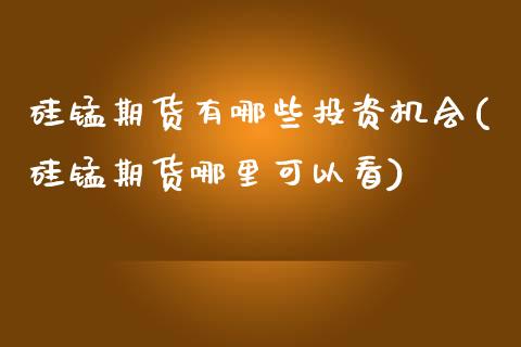 硅锰期货有哪些投资机会(硅锰期货哪里可以看)_https://www.zztgc.com_期货入门_第1张