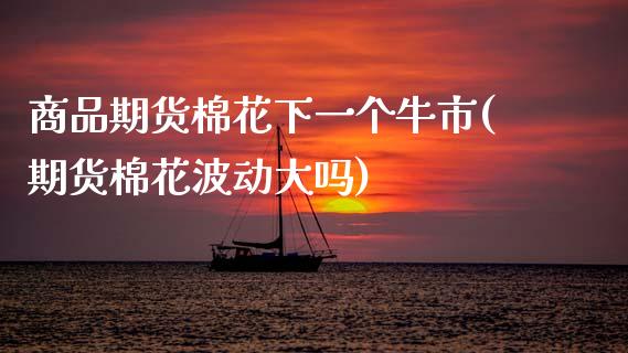 商品期货棉花下一个牛市(期货棉花波动大吗)_https://www.zztgc.com_期货行情_第1张