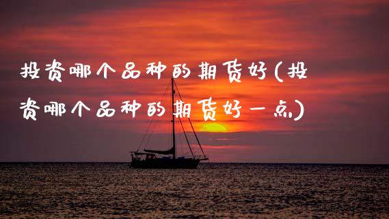 投资哪个品种的期货好(投资哪个品种的期货好一点)_https://www.zztgc.com_期货入门_第1张
