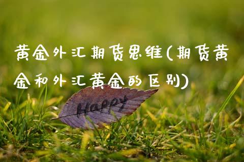 黄金外汇期货思维(期货黄金和外汇黄金的区别)_https://www.zztgc.com_黄金期货_第1张