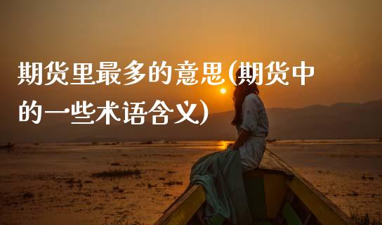 期货里最多的意思(期货中的一些术语含义)_https://www.zztgc.com_期货入门_第1张