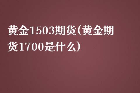 黄金1503期货(黄金期货1700是什么)_https://www.zztgc.com_黄金期货_第1张