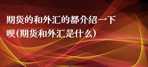 期货的和外汇的都介绍一下呗(期货和外汇是什么)_https://www.zztgc.com_期货直播_第1张