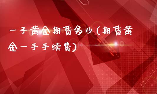 一手黄金期货多少(期货黄金一手手续费)_https://www.zztgc.com_期货入门_第1张