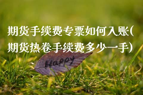 期货手续费专票如何入账(期货热卷手续费多少一手)_https://www.zztgc.com_黄金期货_第1张