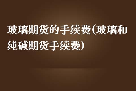 玻璃期货的手续费(玻璃和纯碱期货手续费)_https://www.zztgc.com_期货行情_第1张