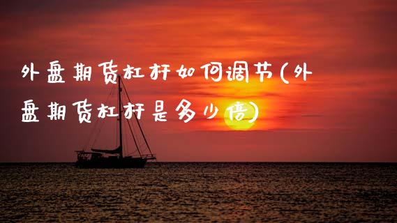 外盘期货杠杆如何调节(外盘期货杠杆是多少倍)_https://www.zztgc.com_期货开户_第1张