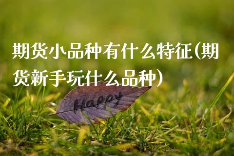 期货小品种有什么特征(期货新手玩什么品种)_https://www.zztgc.com_期货入门_第1张