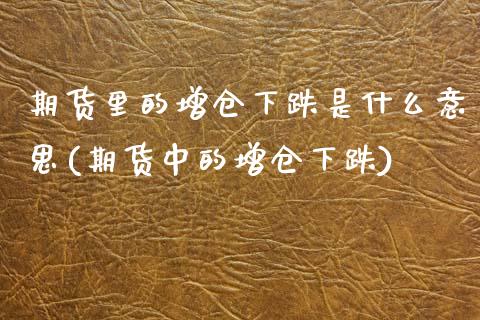 期货里的增仓下跌是什么意思(期货中的增仓下跌)_https://www.zztgc.com_期货行情_第1张
