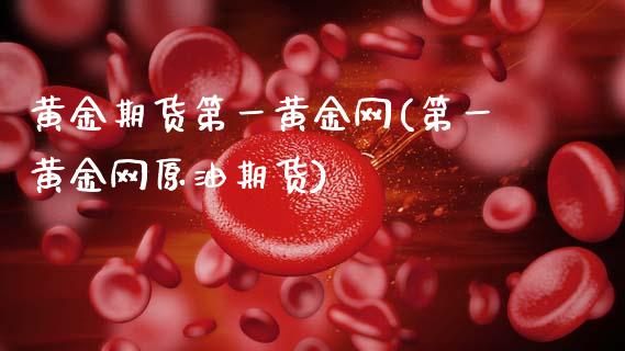 黄金期货第一黄金网(第一黄金网原油期货)_https://www.zztgc.com_原油期货_第1张