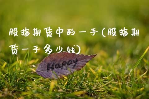 股指期货中的一手(股指期货一手多少钱)_https://www.zztgc.com_期货行情_第1张