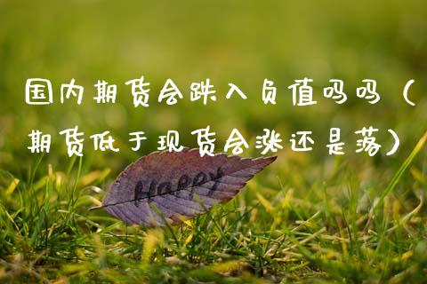 国内期货会跌入负值吗吗（期货低于现货会涨还是落）_https://www.zztgc.com_期货直播_第1张