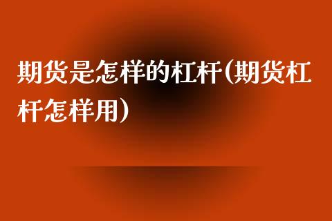 期货是怎样的杠杆(期货杠杆怎样用)_https://www.zztgc.com_期货行情_第1张