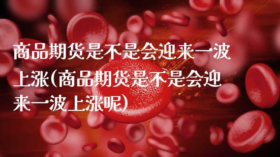 商品期货是不是会迎来一波上涨(商品期货是不是会迎来一波上涨呢)_https://www.zztgc.com_期货入门_第1张
