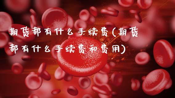 期货都有什么手续费(期货都有什么手续费和费用)_https://www.zztgc.com_期货入门_第1张