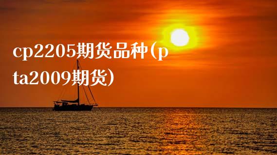 cp2205期货品种(pta2009期货)_https://www.zztgc.com_期货行情_第1张
