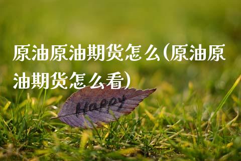 原油原油期货怎么(原油原油期货怎么看)_https://www.zztgc.com_期货入门_第1张