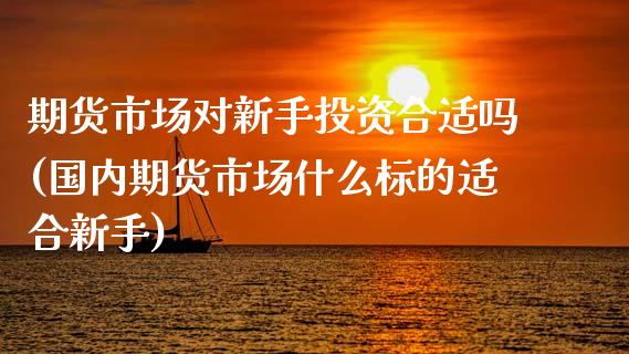 期货市场对新手投资合适吗(国内期货市场什么标的适合新手)_https://www.zztgc.com_期货行情_第1张