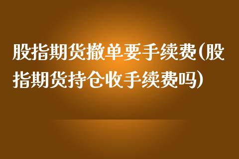 股指期货撤单要手续费(股指期货持仓收手续费吗)_https://www.zztgc.com_期货入门_第1张