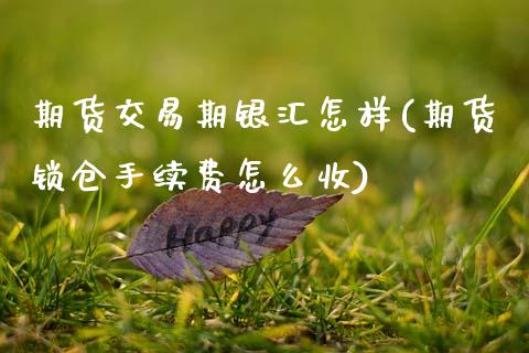 期货交易期银汇怎样(期货锁仓手续费怎么收)_https://www.zztgc.com_期货行情_第1张