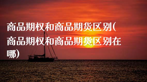 商品期权和商品期货区别(商品期权和商品期货区别在哪)_https://www.zztgc.com_期货入门_第1张