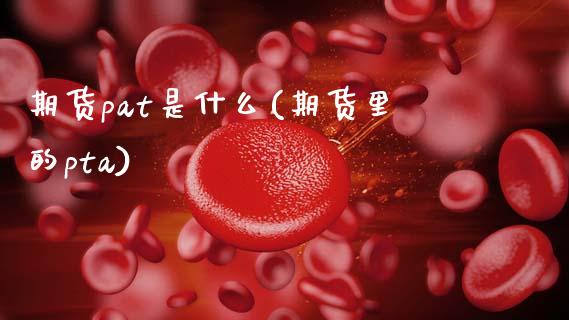 期货pat是什么(期货里的pta)_https://www.zztgc.com_期货入门_第1张