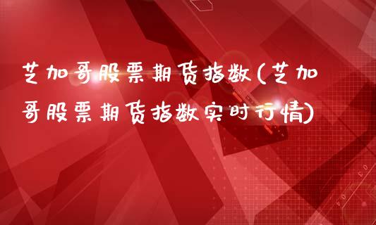 芝加哥股票期货指数(芝加哥股票期货指数实时行情)_https://www.zztgc.com_期货开户_第1张