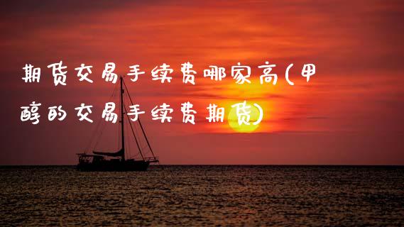 期货交易手续费哪家高(甲醇的交易手续费期货)_https://www.zztgc.com_期货入门_第1张