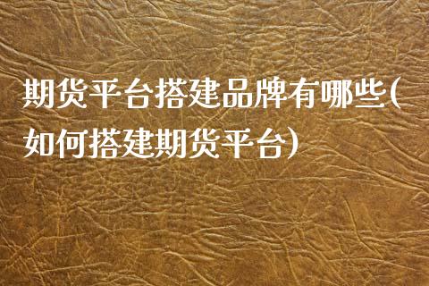 期货平台搭建品牌有哪些(如何搭建期货平台)_https://www.zztgc.com_期货行情_第1张