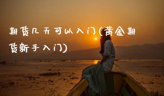 期货几天可以入门(黄金期货新手入门)_https://www.zztgc.com_原油期货_第1张