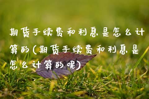 期货手续费和利息是怎么计算的(期货手续费和利息是怎么计算的呢)_https://www.zztgc.com_黄金期货_第1张
