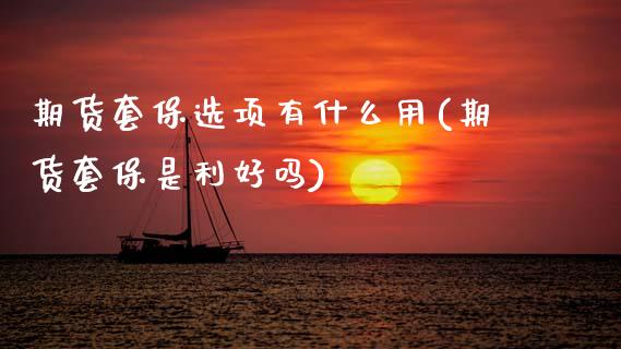期货套保选项有什么用(期货套保是利好吗)_https://www.zztgc.com_黄金期货_第1张
