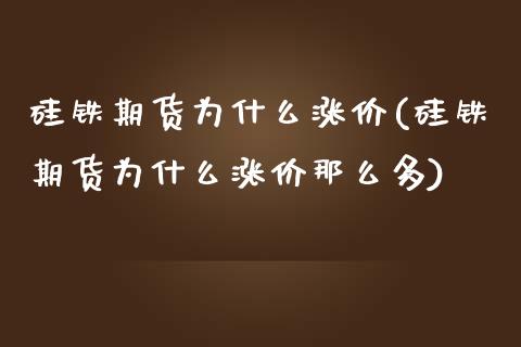 硅铁期货为什么涨价(硅铁期货为什么涨价那么多)_https://www.zztgc.com_期货入门_第1张