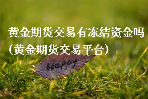 黄金期货交易有冻结资金吗(黄金期货交易平台)_https://www.zztgc.com_期货直播_第1张