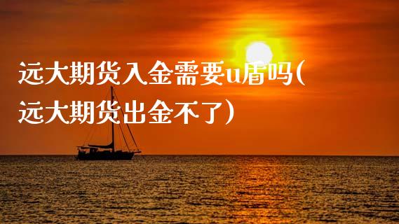 远大期货入金需要u盾吗(远大期货出金不了)_https://www.zztgc.com_黄金期货_第1张