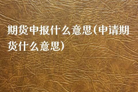 期货申报什么意思(申请期货什么意思)_https://www.zztgc.com_期货行情_第1张
