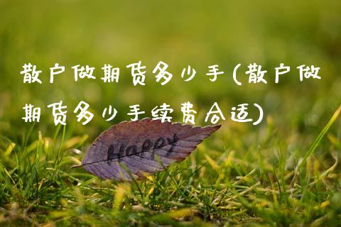 散户做期货多少手(散户做期货多少手续费合适)_https://www.zztgc.com_期货行情_第1张